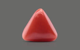 Red Coral - TC 5097 (Origin - Italy) Limited - Quality